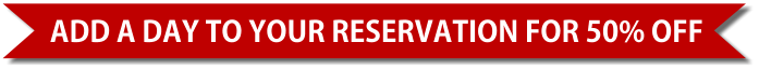50 percent off all rentals