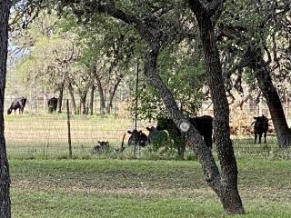 away_at_the_river_2024_004b