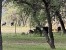 away_at_the_river_2024_004b_banner.jpg